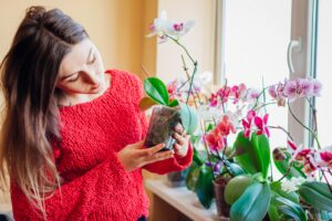 5 Tips for Using Plants to Stage Your Home